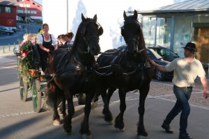 Empfang Kaesekoenigin 10